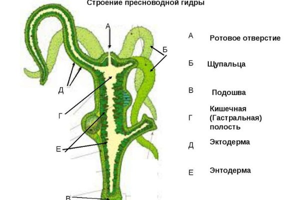 Кракен ссылка новая