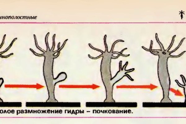 Кракен супернет площадка