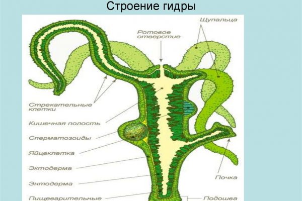 Кракен маркетплейс реклама текст