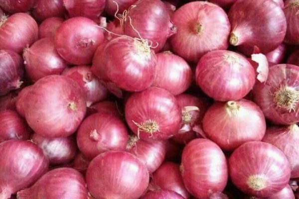 Кракен зеркало рабочее onion