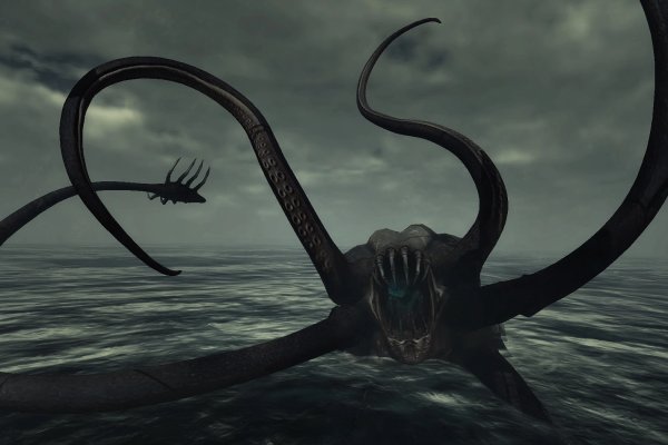 Kraken kraken dark link