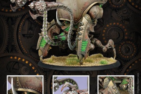 Kraken13at