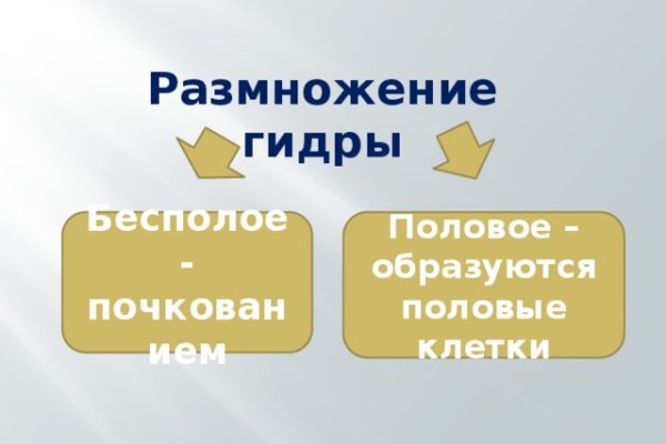 Кракен ссылка тор