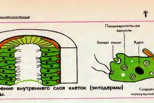 Кракен сайт биз