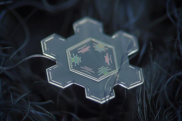 Kraken kraken link24 info