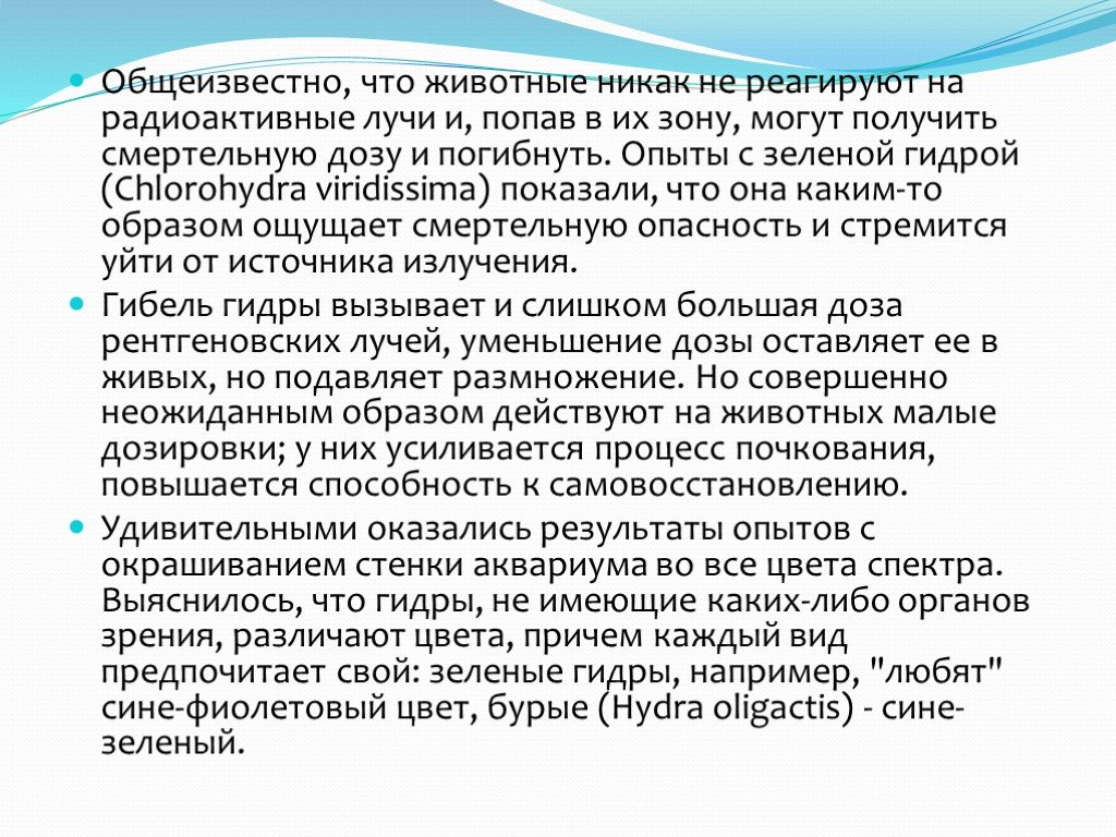 Кракен торговая площадка