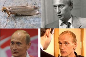 Кракен официальный сайт
